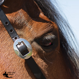 New!Billy Royal® Black Leather Rolled One Ear Headstall - Country Scene Saddlery and Pet Supplies