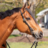 New!Billy Royal® Black Leather Rolled One Ear Headstall - Country Scene Saddlery and Pet Supplies