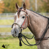 New! Billy Royal® Bosal Set with Futurity Headstall - Country Scene Saddlery and Pet Supplies