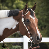 Billy Royal® California Classic Two Ear Headstall