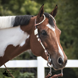 NEW! Billy Royal® California Classic Two Ear Headstall - Country Scene Saddlery and Pet Supplies