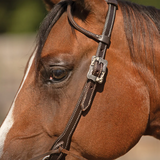 New! Billy Royal® Canyon Ranch Two Ear Ranch Headstall Draft Horse Girth