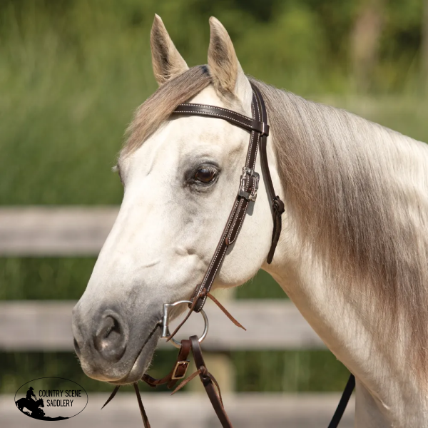 New! Billy Royal® Canyon Ridge Browband Ranch Headstall Small Horse.Cob Western Bridle