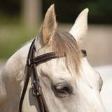 New! Billy Royal® Canyon Ridge Browband Ranch Headstall - Country Scene Saddlery and Pet Supplies