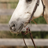 New! Billy Royal® Canyon Ridge Browband Ranch Headstall - Country Scene Saddlery and Pet Supplies