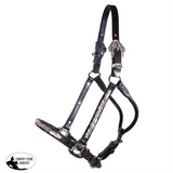 New! Billy Royal® Casper Arabian Silver Show Halter