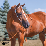 NEW! Billy Royal® Crystal with Oval Scroll Two Ear Headstall - Country Scene Saddlery and Pet Supplies