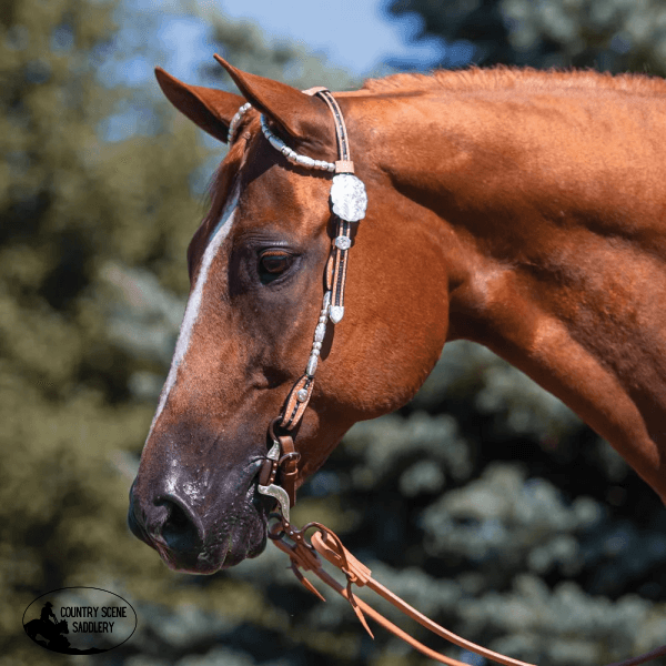 Billy Royal® Crystal With Oval Scroll Two Ear Headstall Show Bridles