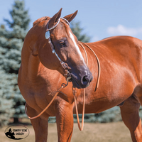 Billy Royal® Crystal With Oval Scroll Two Ear Headstall Show Bridles