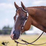 New! Billy Royal® Double Diamond Two Ear Headstall - Country Scene Saddlery and Pet Supplies