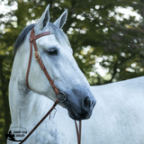 New! Billy Royal® Draft Horse Harness Leather Headstall - Country Scene Saddlery and Pet Supplies