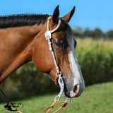 NEW! Billy Royal® Engraved One Ear Headstall - Country Scene Saddlery and Pet Supplies