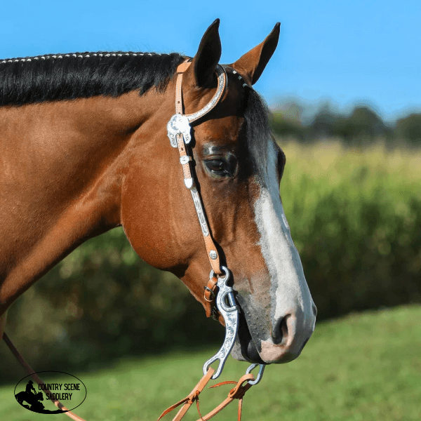 Billy Royal® Engraved One Ear Headstall Western Bridles