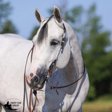 New! Billy Royal® Flat Ferrule Two Ear Headstall Posted.* Billy-Royal-Flat-Ferrule-Two-Ear-Headstall