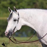 New! Billy Royal® Flat Ferrule Two Ear Headstall Posted.* Billy-Royal-Flat-Ferrule-Two-Ear-Headstall