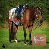 New! Billy Royal® Georgia Classic Show Saddle - Country Scene Saddlery and Pet Supplies