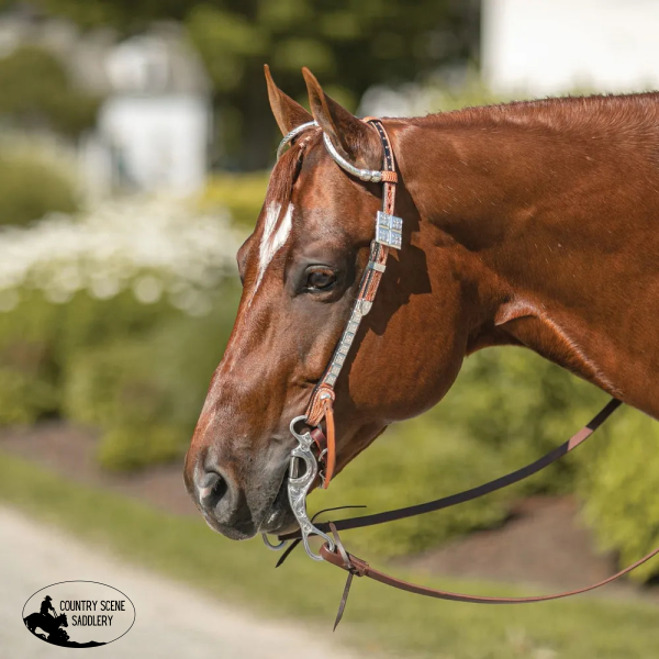 Billy Royal® Mesquite Two Ear Headstall Billy-Royal-Bainbridge-Classic-Two-Ear-Headstall/