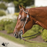 NEW! Billy Royal® Mesquite Two Ear Headstall - Country Scene Saddlery and Pet Supplies