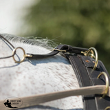 NEW! Billy Royal® Multi-Ring Training Surcingle - Full Size - Western Bridles