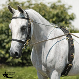 NEW! Billy Royal® Multi-Ring Training Surcingle - Full Size - Western Bridles