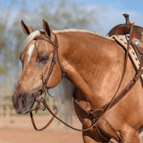 Billy Royal® Oiled Hermann Oak Leather Browband Headstall - Country Scene Saddlery and Pet Supplies