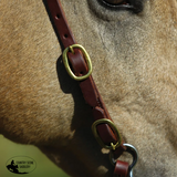NEW! Billy Royal® Oiled Rolled One Ear Short Cheek Headstall with Quick Change Buckle Ends - Country Scene Saddlery and Pet Supplies