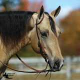 NEW! Billy Royal® Oiled Rolled One Ear Short Cheek Headstall with Quick Change Buckle Ends - Country Scene Saddlery and Pet Supplies