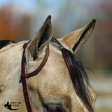 NEW! Billy Royal® Oiled Rolled One Ear Short Cheek Headstall with Quick Change Buckle Ends - Country Scene Saddlery and Pet Supplies