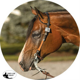 New! Billy Royal® Phoenix Two Ear Headstall Posted.