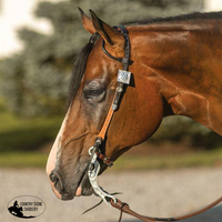 New! Billy Royal® Phoenix Two Ear Headstall Posted.