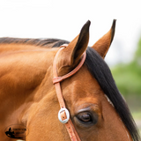 New! Billy Royal® Rolled One Ear Finished Hermann Oak Headstall - Country Scene Saddlery and Pet Supplies
