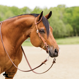 New! Billy Royal® Rolled One Ear Finished Hermann Oak Headstall - Country Scene Saddlery and Pet Supplies