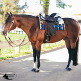 New! Billy Royal® Santa Ana Western Show Saddle 15.5 inch #37882 155 DK Only 1 Left - Order Soon