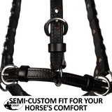 New! Billy Royal® Scalloped Silver Western Horse Show Halter - Country Scene Saddlery and Pet Supplies
