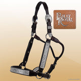 Billy Royal SP Rio Grande Show Halter ~ - Country Scene Saddlery and Pet Supplies