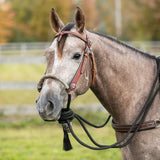New! Billy Royal® Bosal Set with Futurity Headstall - Country Scene Saddlery and Pet Supplies