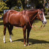 NEW! Billy Royal® Box Cheek Two Ear Headstall - Country Scene Saddlery and Pet Supplies