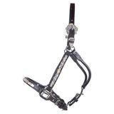 New! Billy Royal® Casper Arabian Silver Show Halter - Country Scene Saddlery and Pet Supplies