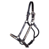 New! Billy Royal® Casper Arabian Silver Show Halter - Country Scene Saddlery and Pet Supplies