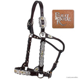Billy Royal® Congress Miss Classic Show Halter - Country Scene Saddlery and Pet Supplies