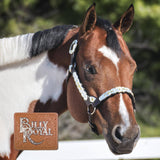 Billy Royal® Congress Miss Classic Show Halter - Country Scene Saddlery and Pet Supplies
