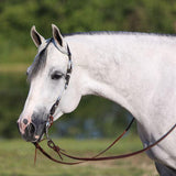 NEW! Billy Royal® Flat Ferrule Two Ear Headstall - Country Scene Saddlery and Pet Supplies