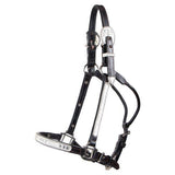 Billy Royal® Gemini Arabian Silver Show Halter - Country Scene Saddlery and Pet Supplies