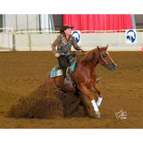 Billy Royal® Gemini Arabian Silver Show Halter - Country Scene Saddlery and Pet Supplies