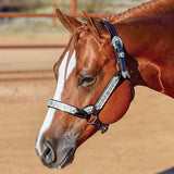 New! Billy Royal® Grand Slam II Classic Show Halter - Country Scene Saddlery and Pet Supplies