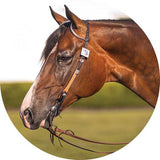 NEW! Billy Royal® Gwendolyn Two Ear Headstall - Country Scene Saddlery and Pet Supplies