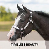 Billy Royal® Madix Silver Show Halter - Country Scene Saddlery and Pet Supplies