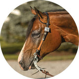 NEW! Billy Royal® Phoenix Two Ear Headstall - Country Scene Saddlery and Pet Supplies