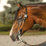 NEW! Billy Royal® Phoenix Two Ear Headstall - Country Scene Saddlery and Pet Supplies