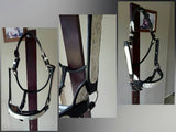 NEW! Billy Royal® Riverside Rebel Show Halter - Country Scene Saddlery and Pet Supplies